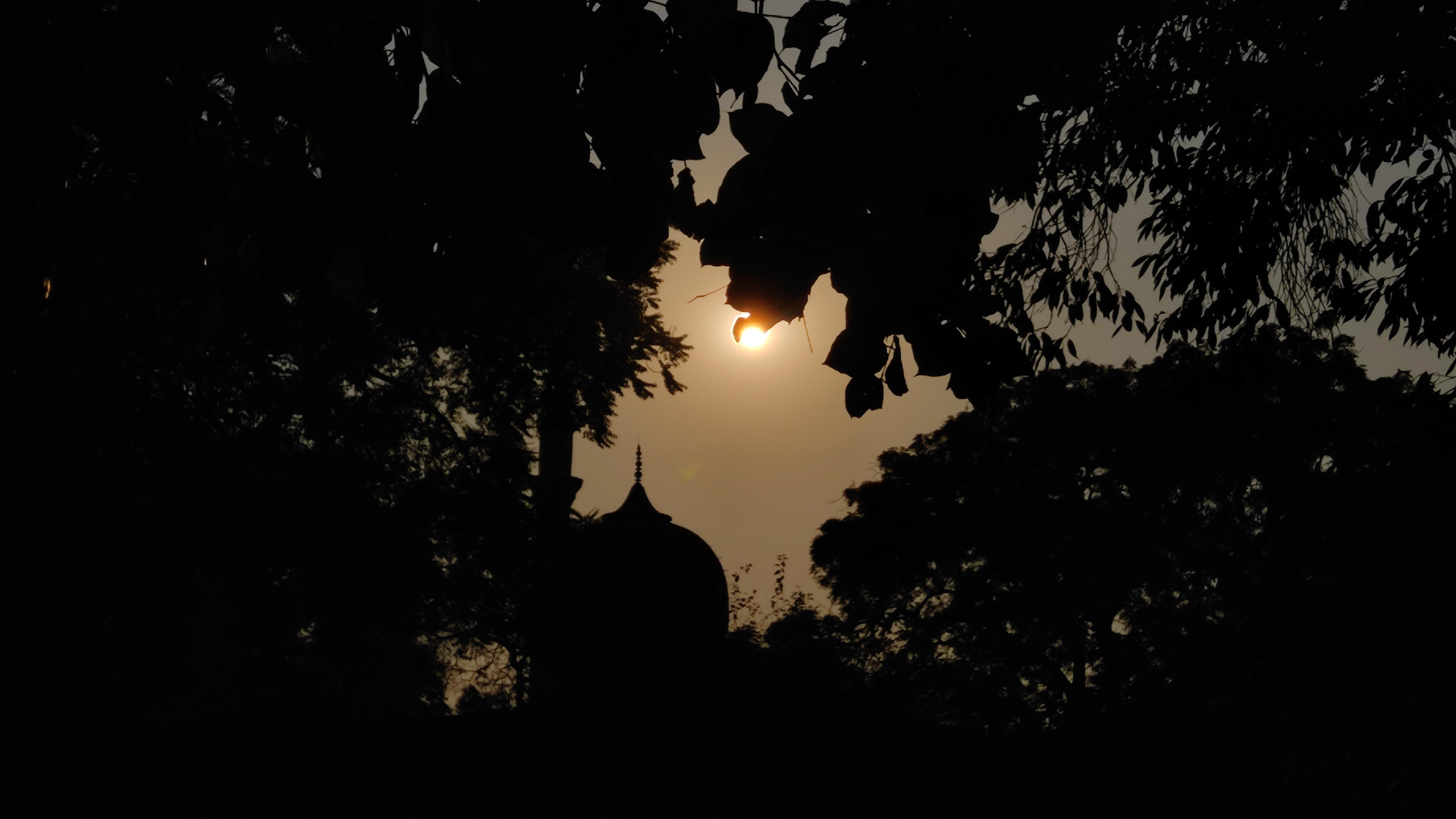 Photography 2