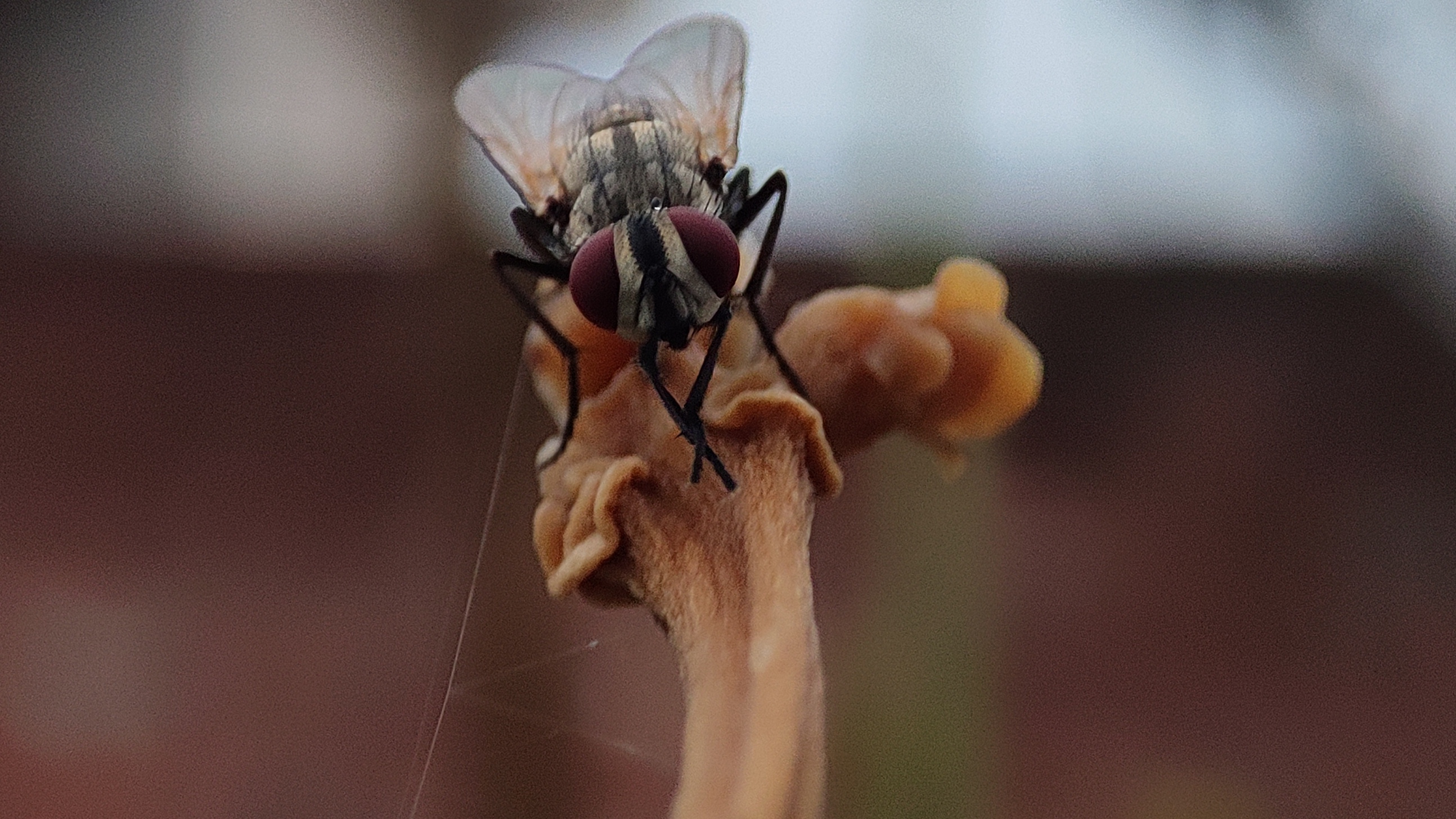 Photography 22